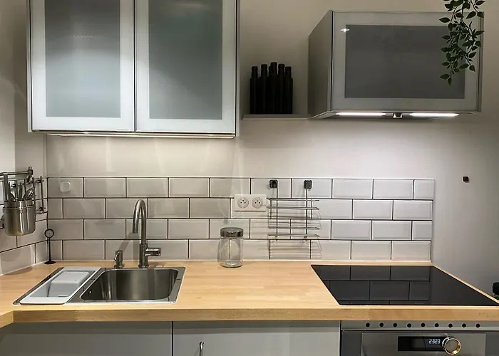 Apartment Mrtn & - Aix-les-bains, Hypercentre *